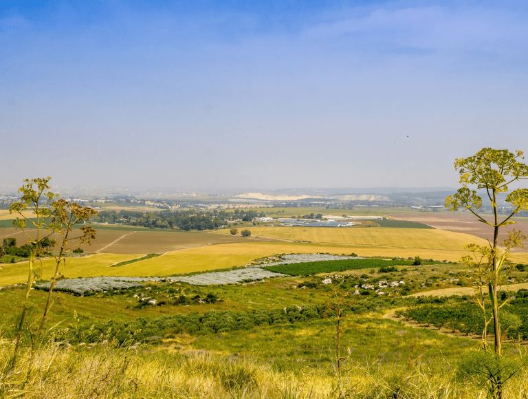 Vijayawada Highway